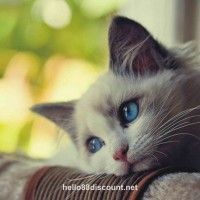 Avatar người dùng Đỗ Minh Quân