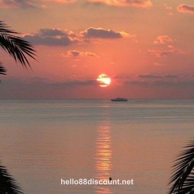 Avatar người dùng Phạm Đức Hùng