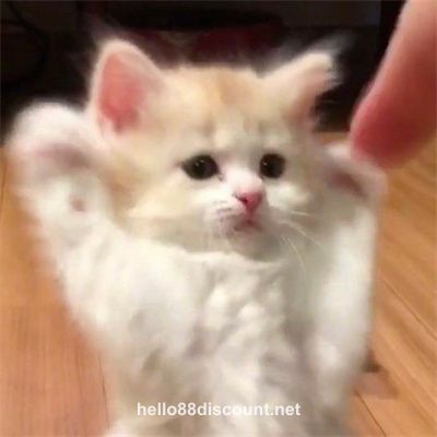 Avatar người dùng Vũ Thị Lan